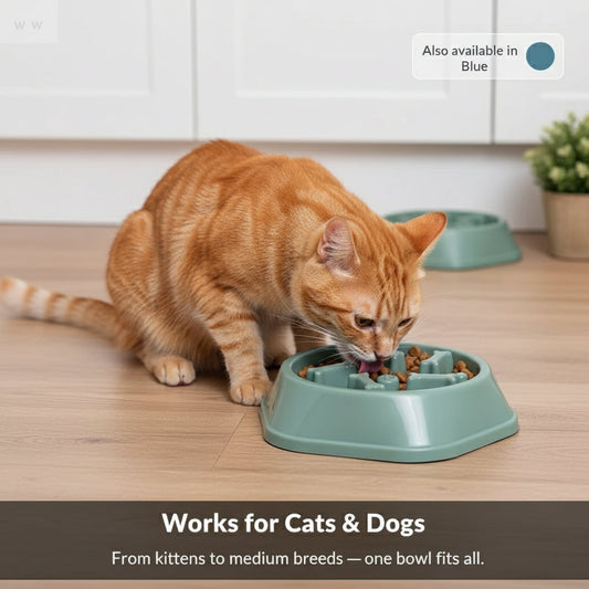 RidgeBowl Anti-Gulp Slow Feeder Dog Bowl