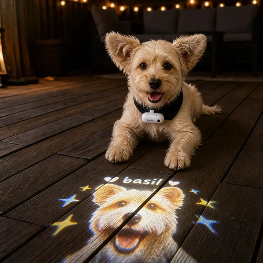 Custom Pet Portrait Projector Night Light