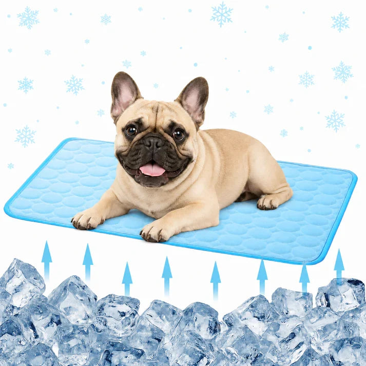 Blanky Cooling Mat for Dogs