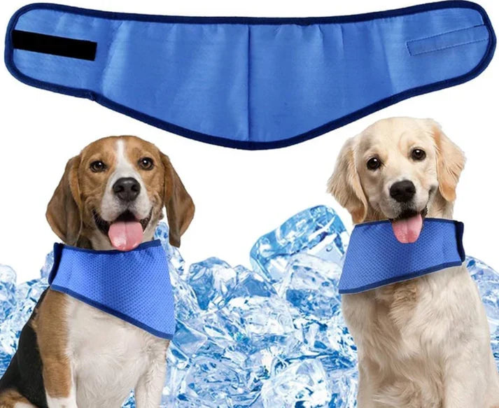 Cooly Cooling Dog Bandana