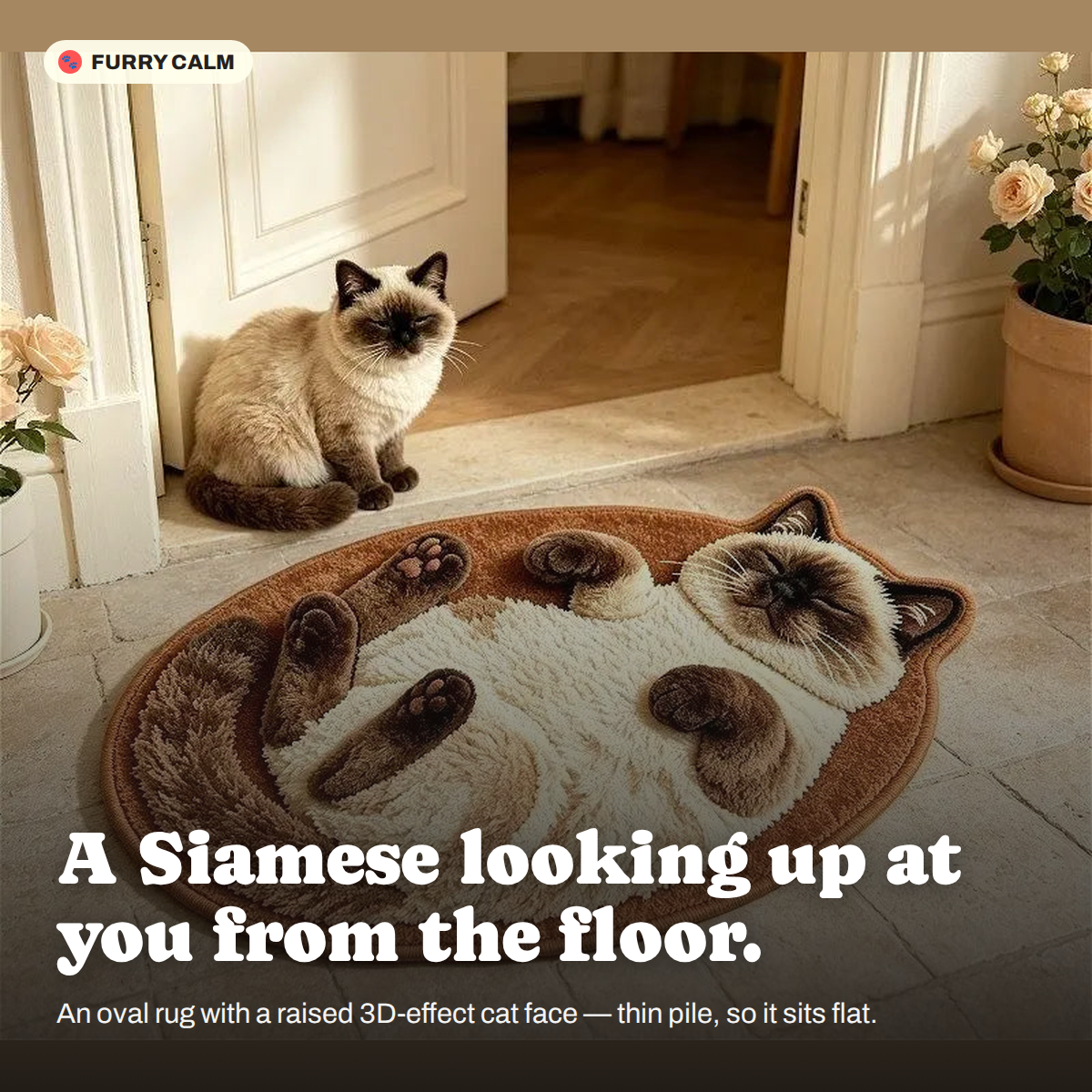 Siamese Cat Face Oval Rug in a real room