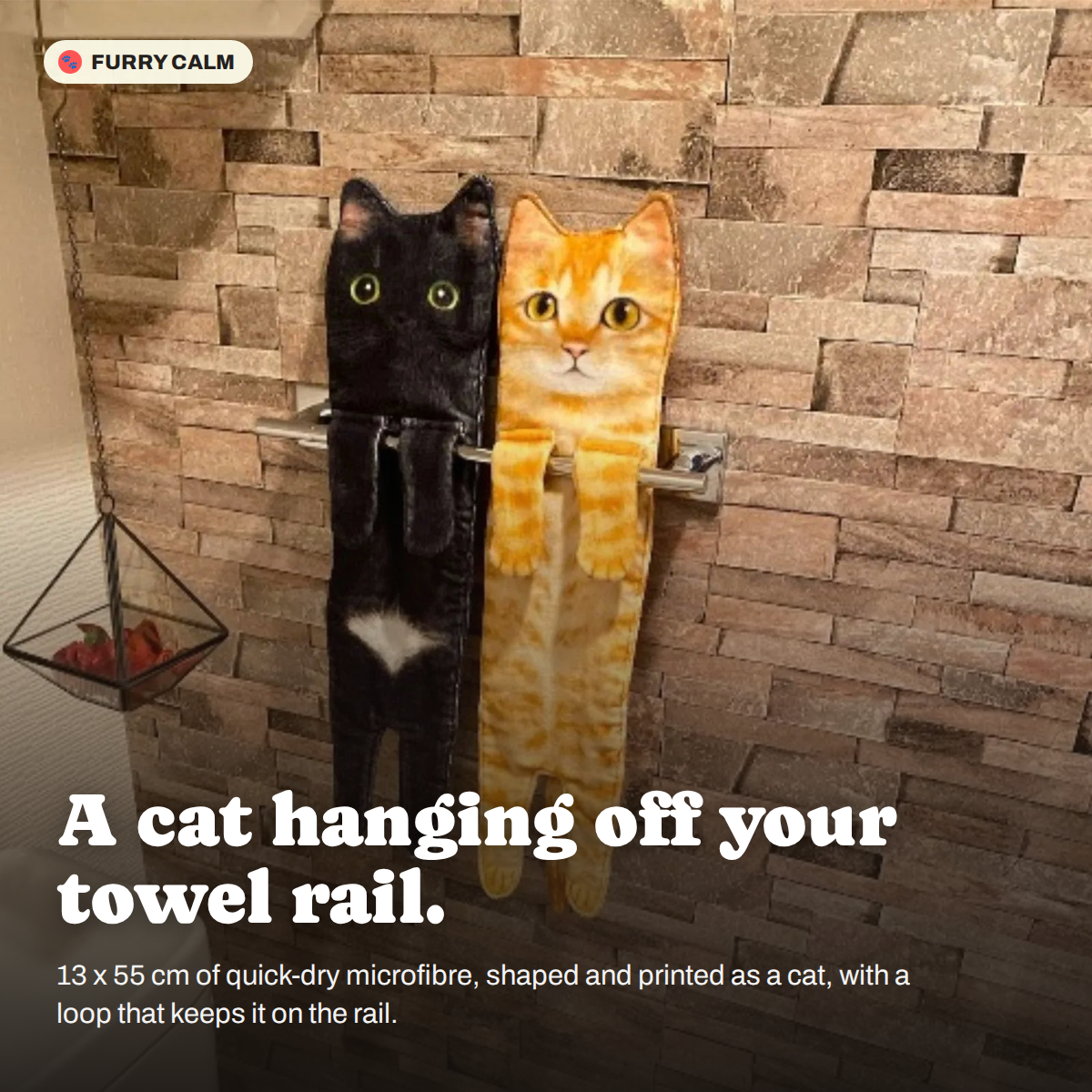 Hanging Cat Hand Towel in a real room