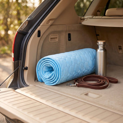 The cooling mat rolled up in a car boot beside a lead and a water bottle