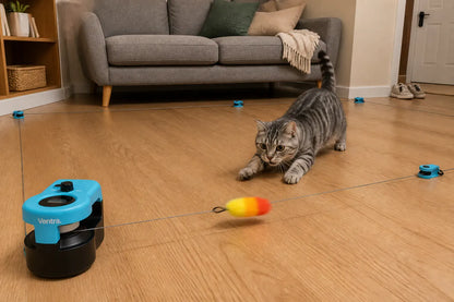 KittyRun Remote Control Cat Chase Toy