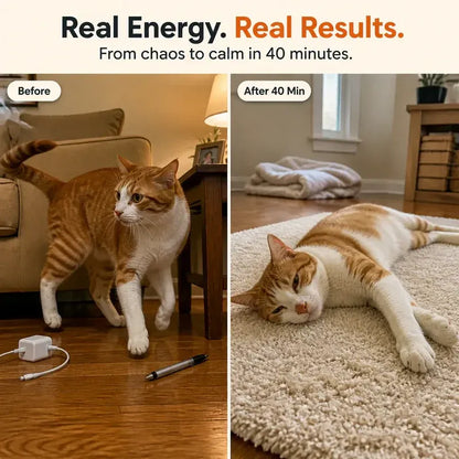 KittyRun Remote Control Cat Chase Toy