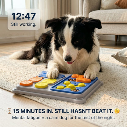 BrainBoard Sliding Treat Puzzle for Dogs