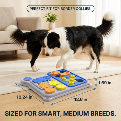 BrainBoard Sliding Treat Puzzle for Dogs