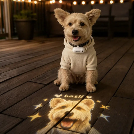 Custom Pet Portrait Projector Night Light