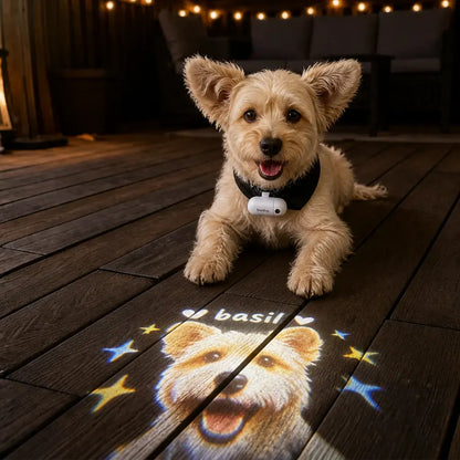 Custom Pet Portrait Projector Night Light