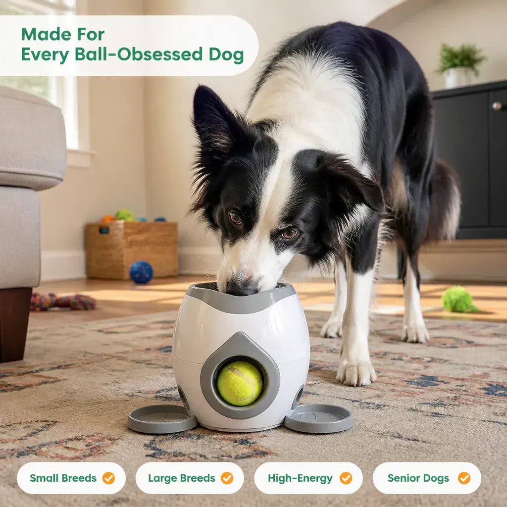 FetchBot Automatic Ball Launcher and Treat Dispenser