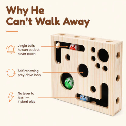 PawFile Cat Puzzle Box with Claw-Filing Holes