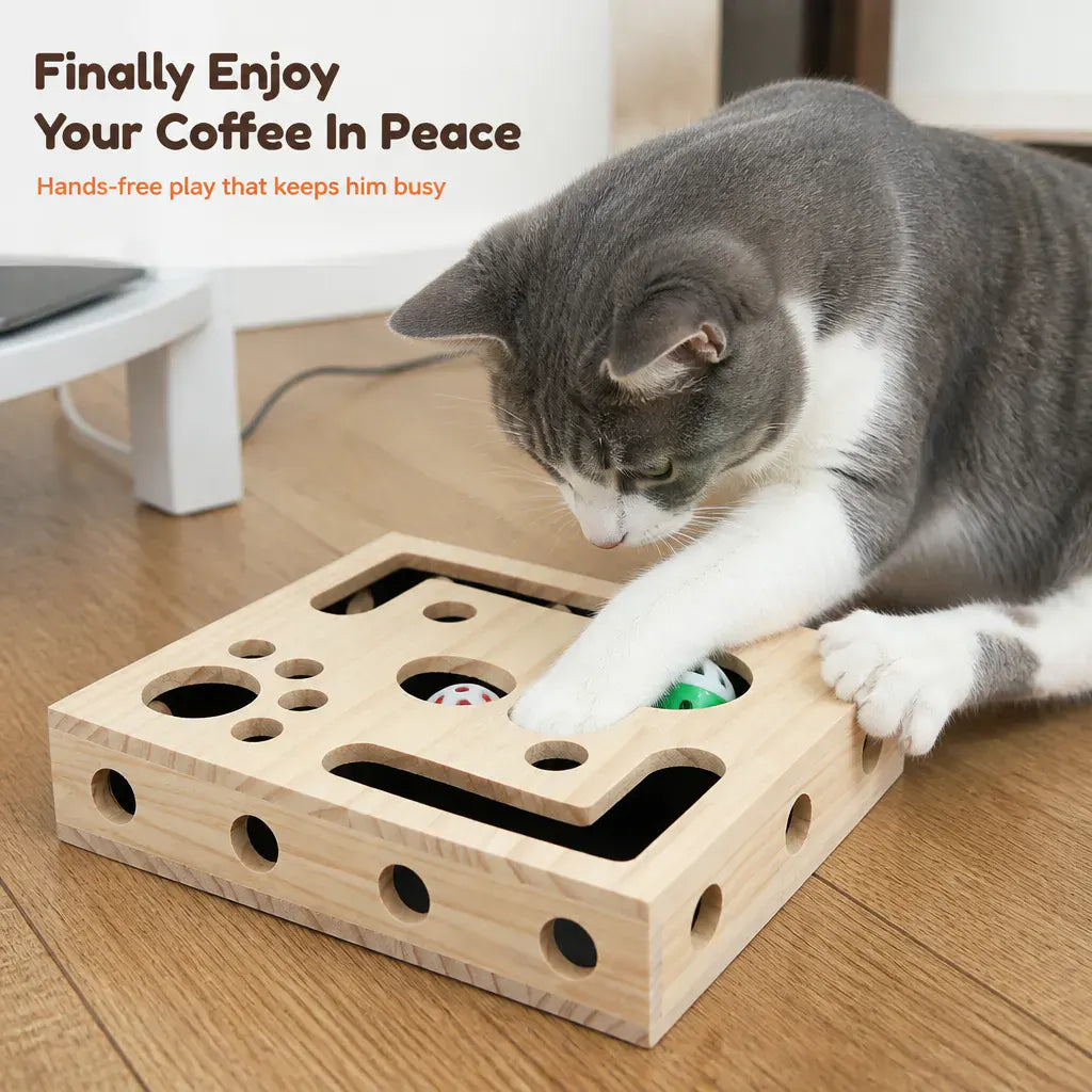 PawFile Cat Puzzle Box with Claw-Filing Holes