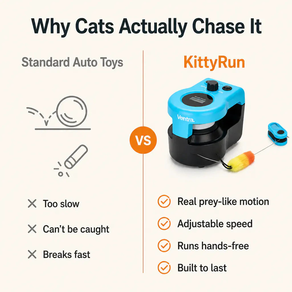 KittyRun Remote Control Cat Chase Toy