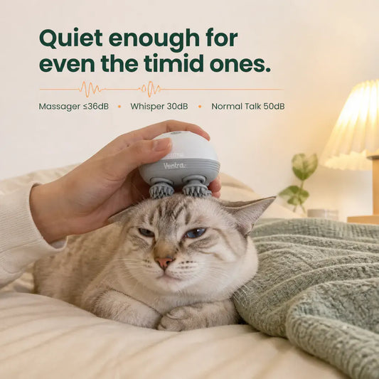 PurrSpa Rechargeable Cat Head Massager
