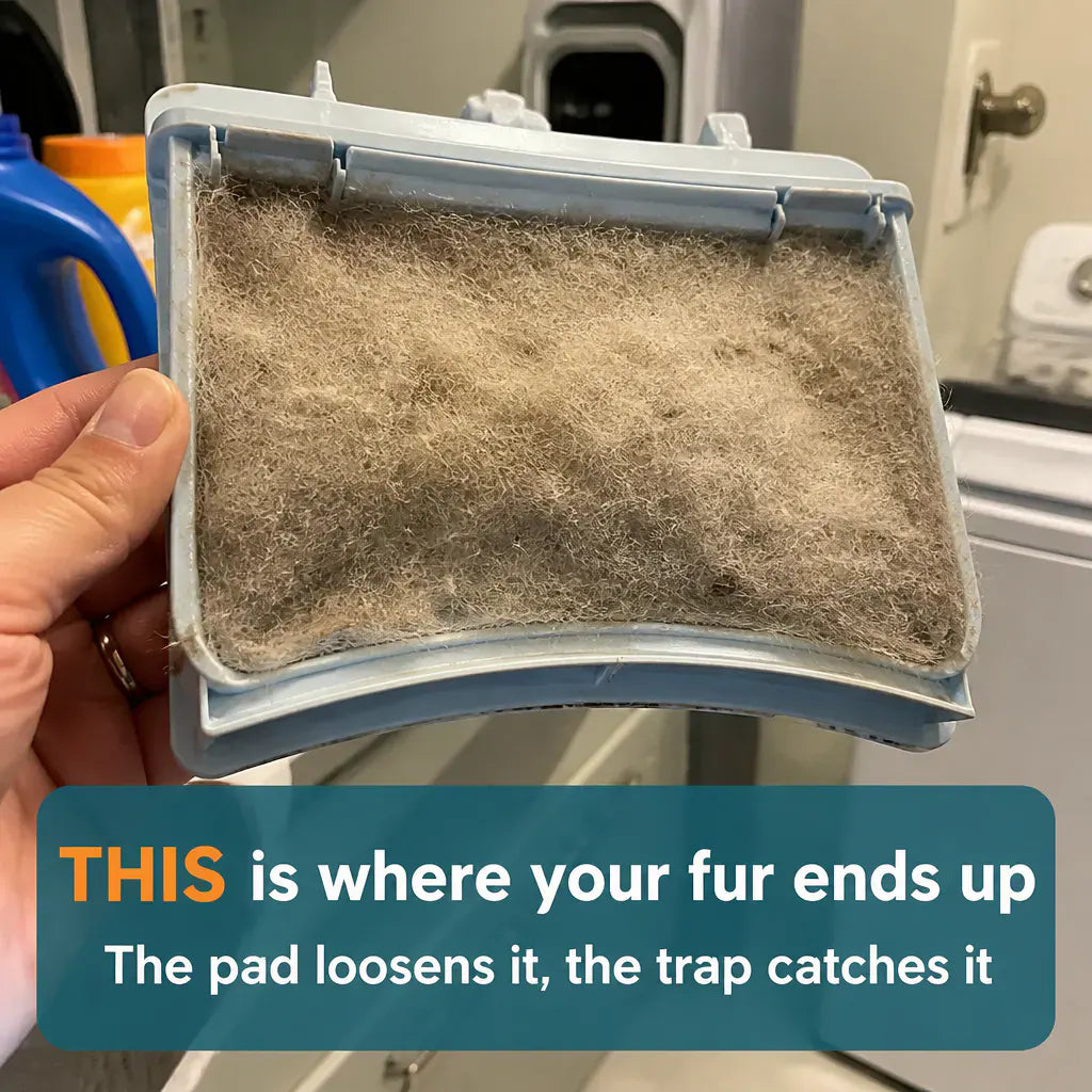 FurBalls Reusable Laundry Pet Hair Remover, 6 Pack