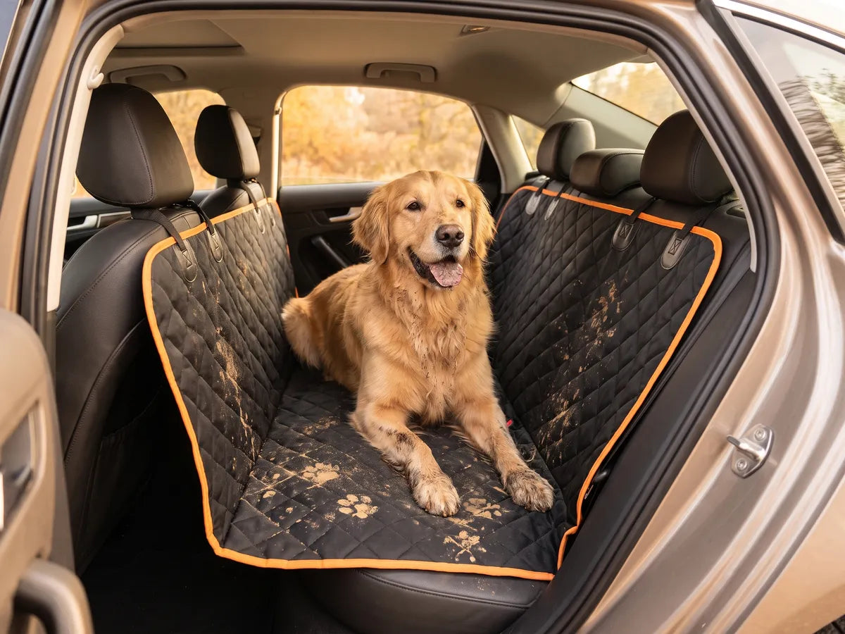 A muddy golden retriever sitting on a black quilted hammock-style car seat cover with orange trim
